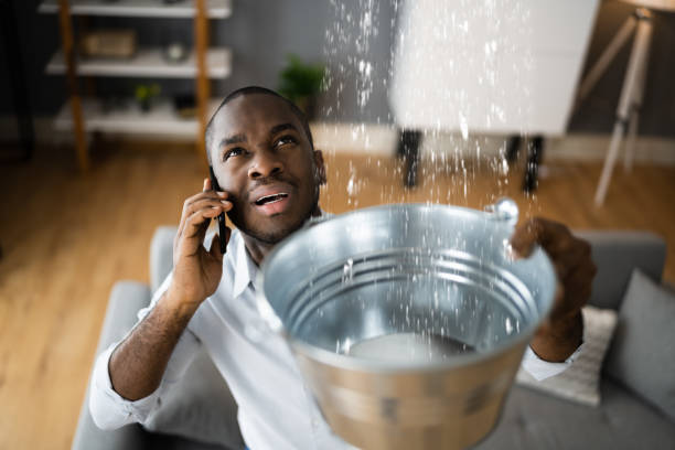  Honaunau Napoopoo, HI Water damage restoration Pros