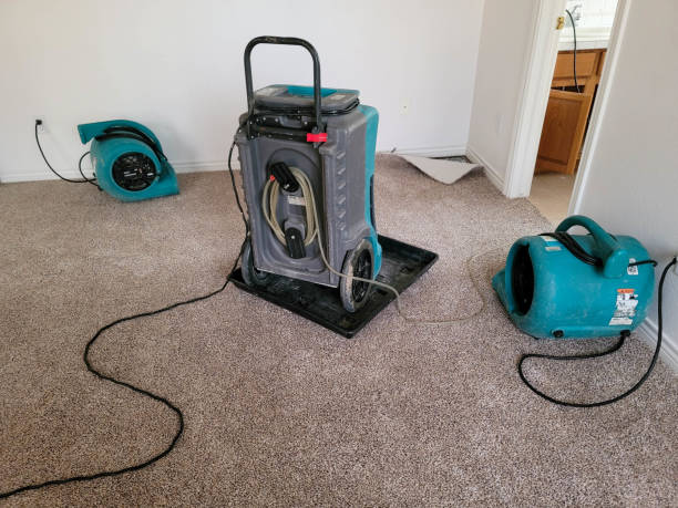 Best Water damage contractors near me  in Honaunau Napoopoo, HI