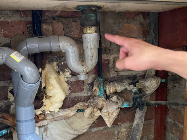 Best Water damage restoration near me  in Honaunau Napoopoo, HI